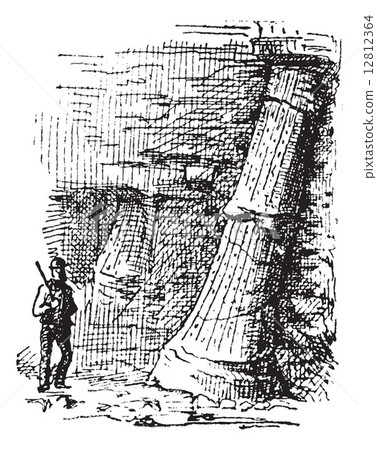 Sigillaria, vintage engraving. Sigillaria, vintage engraving. 12812364