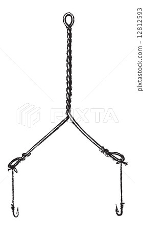 Double Fish Hook, vintage engraving 12812593