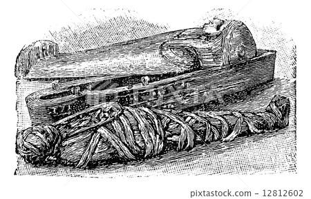 Egyptian mummy and sarcophagus (British Museum), vintage engravi 12812602