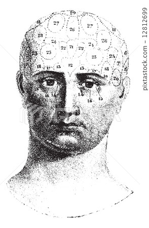 Type cranial given by Spurzheim, front view, vintage engraving. Type cranial given by Spurzheim, front view, vintage engraving. 12812699