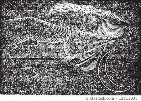 Phosphene front, vintage engraving. 12813033
