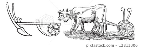 Plough vintage engraving 12813306