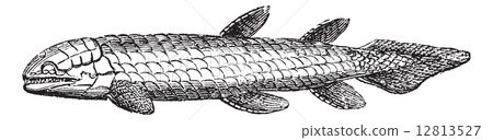 Osteolepis or Bone Scale fish isolated on white, vintage engravi 12813527