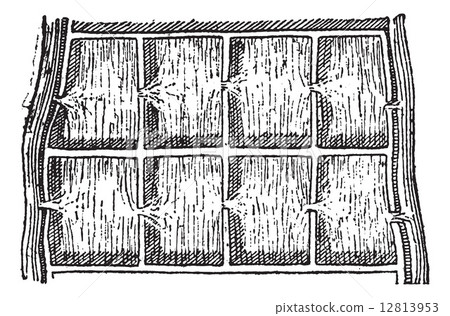 Rice field or Paddy field, vintage engraving. 12813953