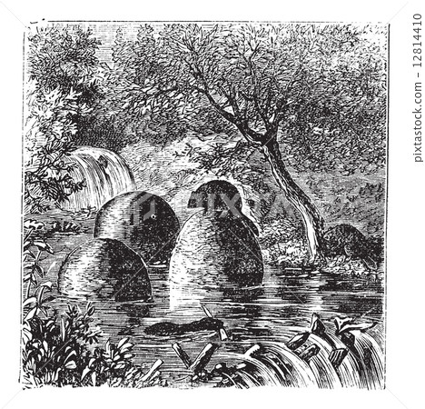 Lodges and dams built by beavers vintage engraving 12814410