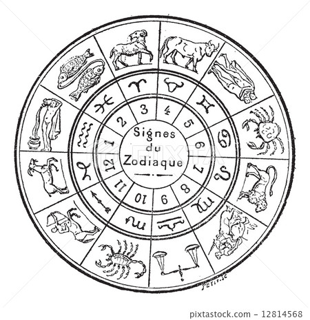 Signs of the Zodiac, vintage engraving. 12814568