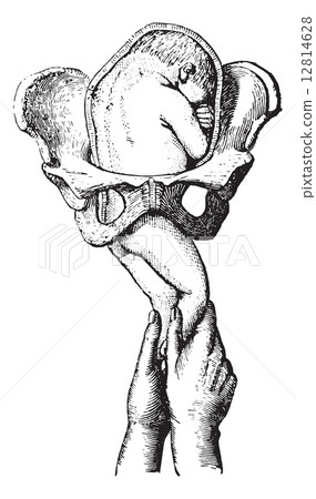 Release the seat, vintage engraving. Release the seat, vintage engraving. 12814628