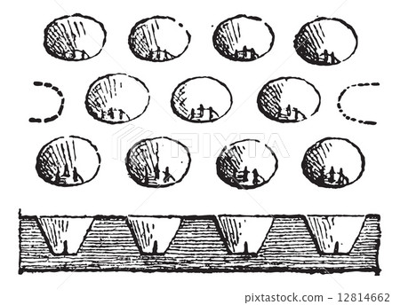 Egg Tray, vintage engraving 12814662