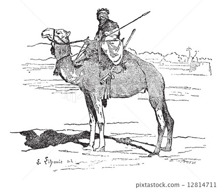 Tuareg, tribe of the Sahara, vintage engraving. 12814711