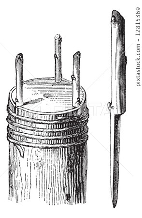 Fig.4 Crown graft or Rind graft vintage engraving 12815369