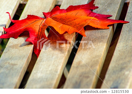 leaf on a garden chair leaf on a garden chair 12815530