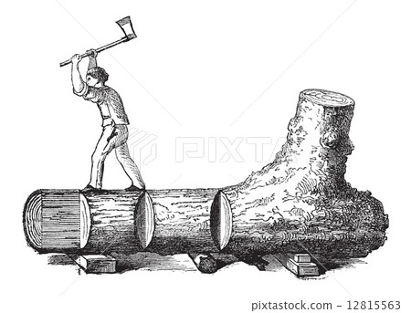 How a Tree is Made into Lumber, vintage engraving 12815563