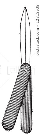 Scalpel or lancet, vintage engraving. 12815938