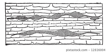 Geological Vein, vintage engraved illustration. 12816004