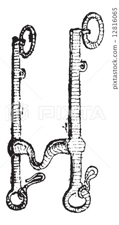 Weymouth Curb Bit, vintage engraving Weymouth Curb Bit, vintage engraving 12816065
