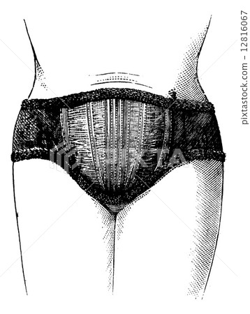 Abdominal elastic fabric English front view, vintage engraving. Abdominal elastic fabric English front view, vintage engraving. 12816067