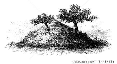 Termite Mound in Southern Africa, vintage engraving Termite Mound in Southern Africa, vintage engraving 12816114