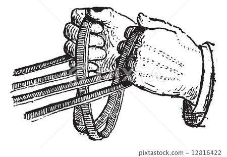 Reins, vintage engraving. 12816422