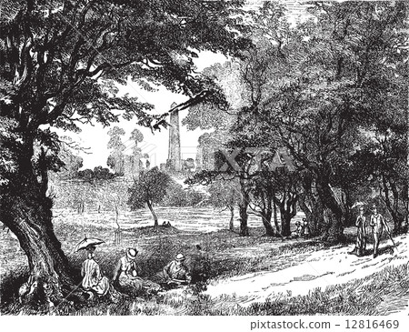 View of Phoenix Park, vintage engraving. 12816469