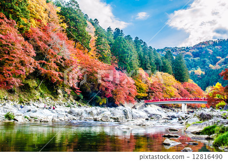 Konami河秋葉 12816490