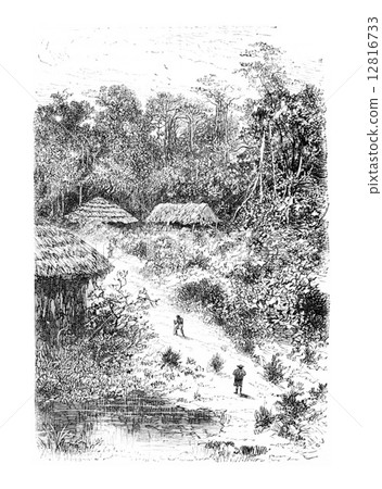 Village of Guineo in Amazonas, Brazil, vintage engraving 12816733