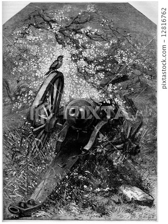 An old destroyed cannon with nature growing over it, vintage eng 12816762