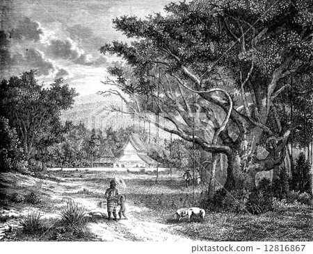 Esplanade and Muong Yong Pagoda, vintage engraving. 12816867