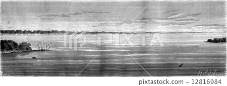 Confluence of the Ucayali and Maranon, vintage engraving. 12816984