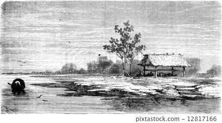 Home of cocamas Indians, vintage engraving. 12817166