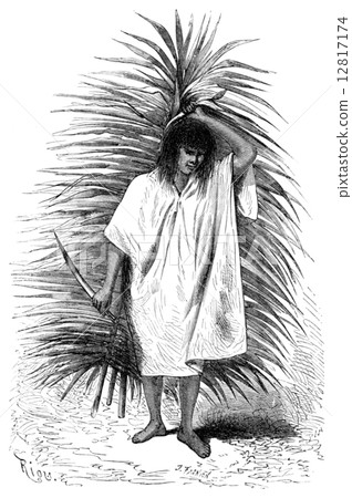 Man carrying a palm frond and knife, vintage engraving. Man carrying a palm frond and knife, vintage engraving. 12817174