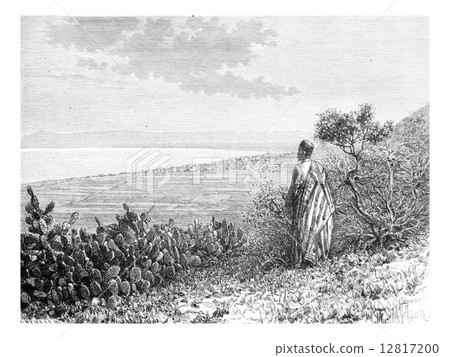 City of Haifa in Israel as Viewed by a Man from Mount Carmel, vi 12817200