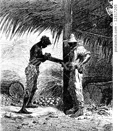 Robinsons of Guyana. He slid on its grated potato, vintage engra 12817205