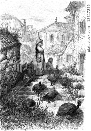 Pave a (airs turkeys), Salamanca campaign, vintage engraving. 12817236