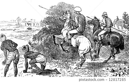 The boar proves short, vintage engraving. 12817285