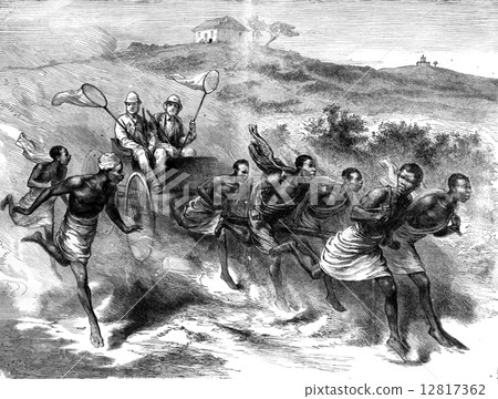 Men-horses Liberia, vintage engraving. 12817362