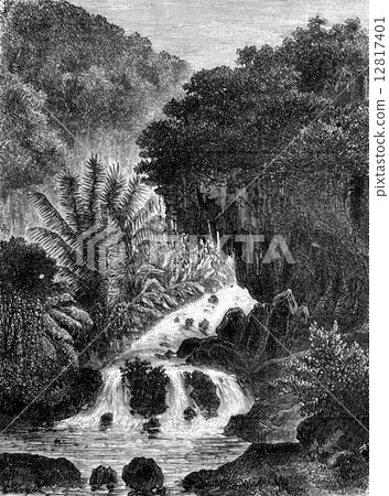 Cataract in Ambon, vintage engraving. 12817401