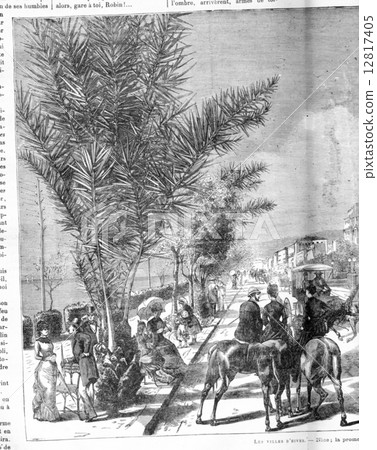 Cities winter. Nice, the Promenade des Anglais, vintage engraving. 12817405