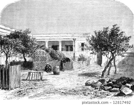 Within the hospital to Goree, vintage engraving. 12817492