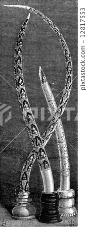 Elephant tusks, vintage engraving. 12817553