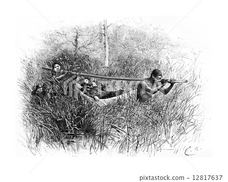 In the Swamp, vintage engraving In the Swamp, vintage engraving 12817637