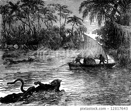 Clinging to the floating corpse, one of the jaguars, vintage eng 12817643