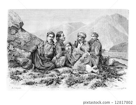Camel Drivers Resting, vintage engraving 12817802