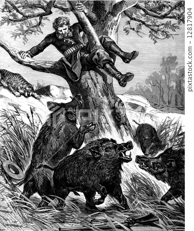 A seat in the countryside. Peccaries rushed against the throne of the tree, vintage engraving. A seat in the countryside. Peccaries rushed against the throne of the tree, vintage engraving. 12817904
