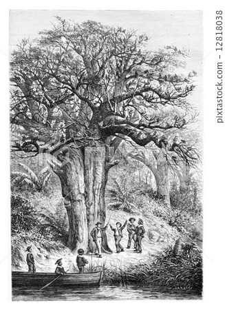 Monkeys in the garden of Jacintho Amoriz, vintage engraving 12818038