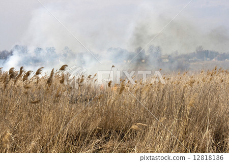 Field on fire 12818186