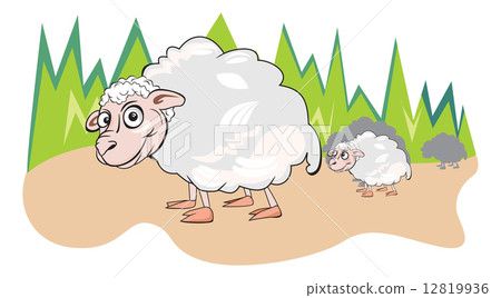 Sheep or Ovis aries, illustration Sheep or Ovis aries, illustration 12819936