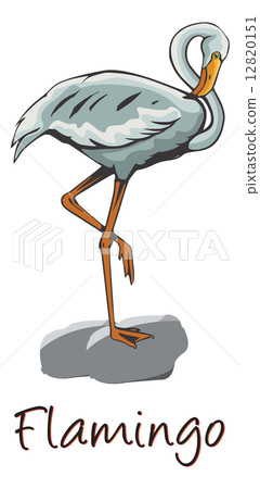 Flamingo, Color Illustration Flamingo, Color Illustration 12820151