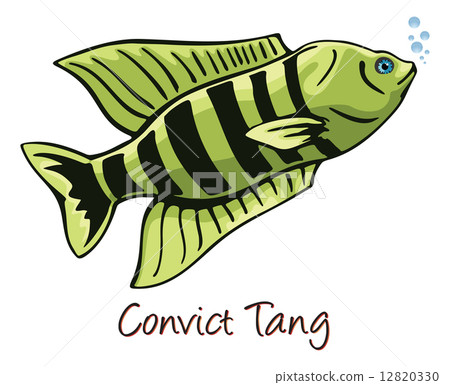 Convict Tang, Color Illustration Convict Tang, Color Illustration 12820330