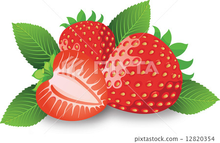Strawberry, illustration 12820354