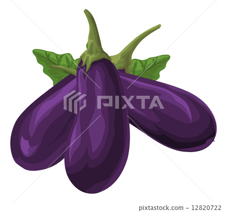 Vector of fresh brinjal. 12820722